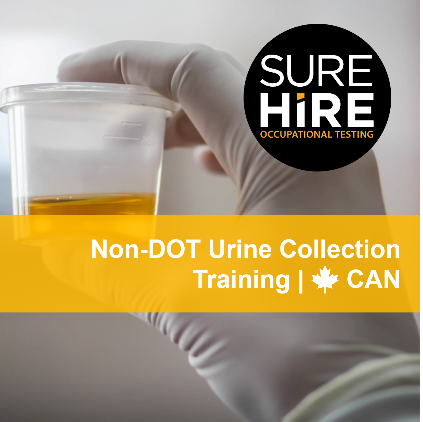 Non-DOT Urine Collector Training (2024)