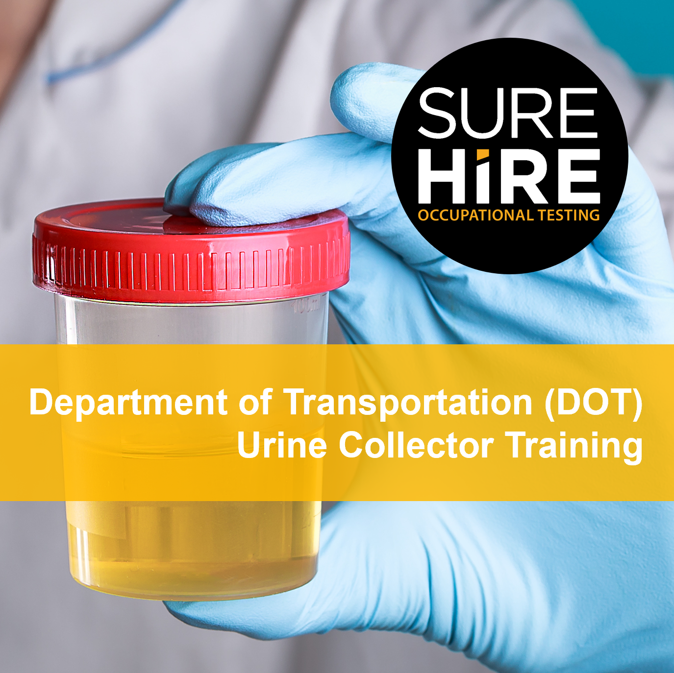 Department of Transportation (DOT) Urine Collector Training (2024)