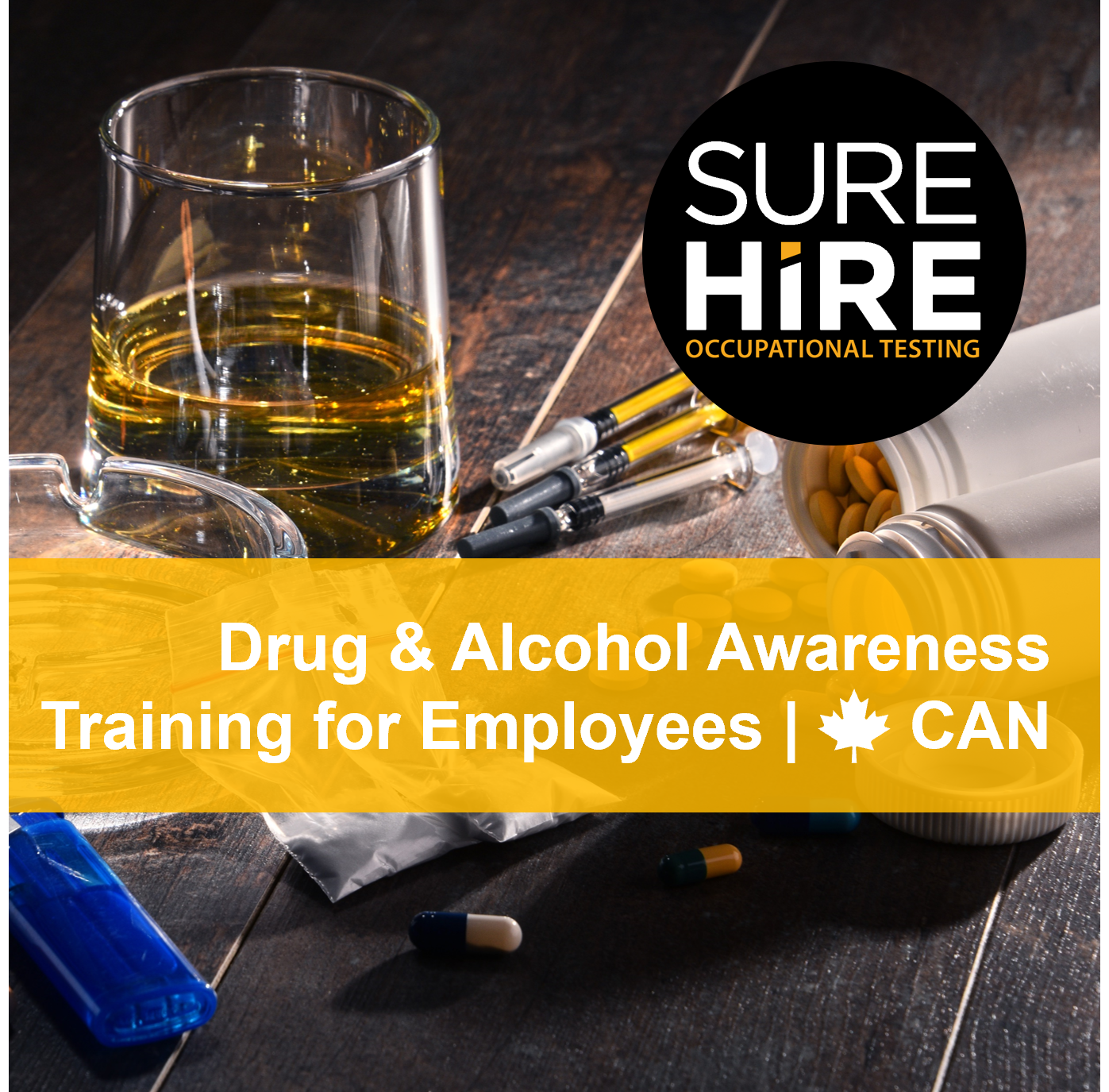 Drug and Alcohol Awareness Training for Employees (Canada) 2024